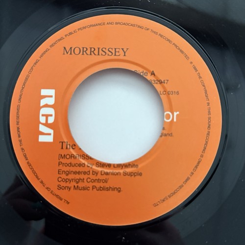 Morrissey the boy - morrissey,